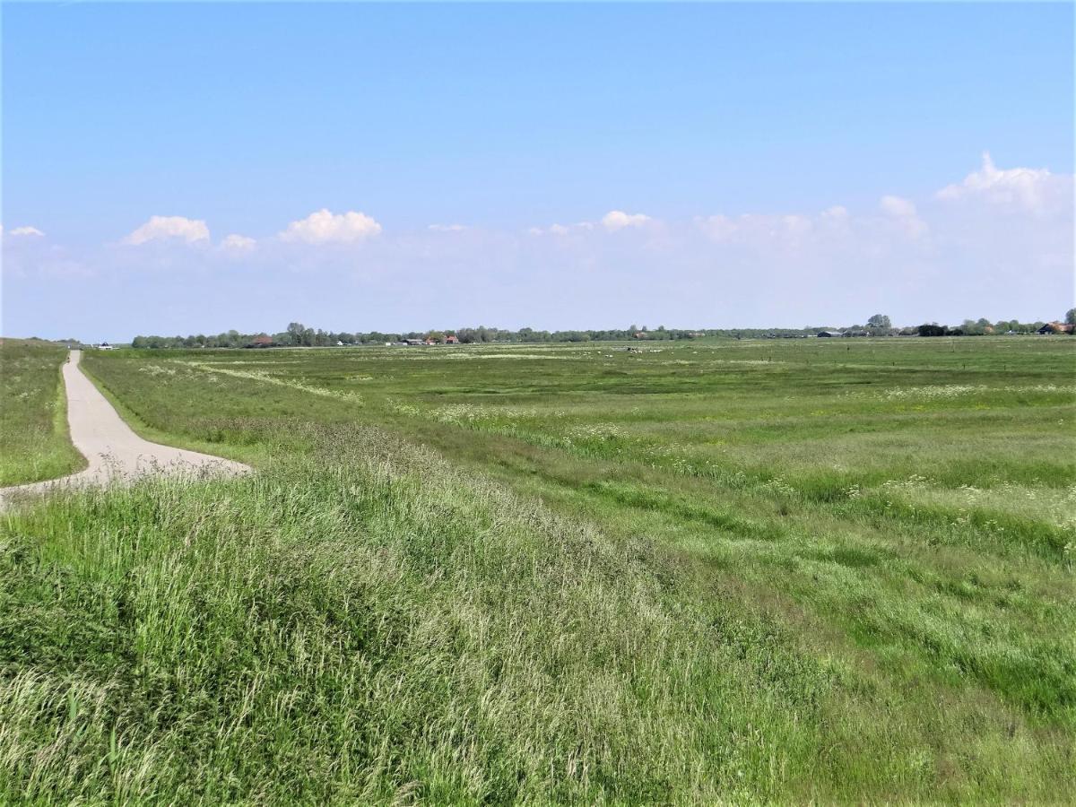 Vakantiewoning Grevelingen Villa Схарендике Екстериор снимка
